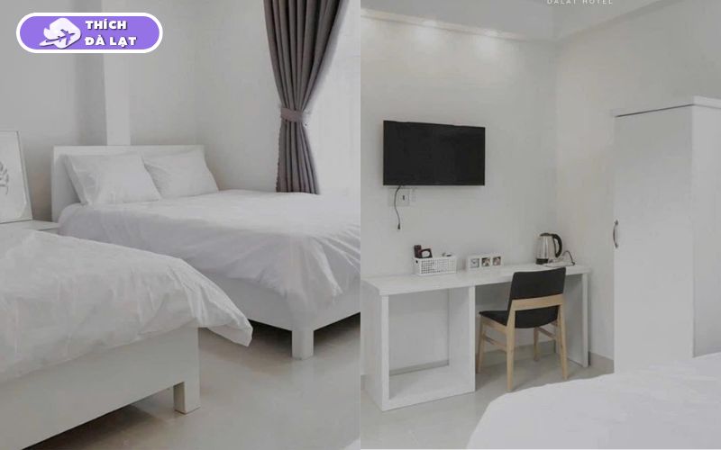 Top 7 khách sạn đường Nguyễn Văn Trỗi Đà Lạt giá tốt, view đẹp 15 khách sạn đường nguyễn văn trỗi đà lạt