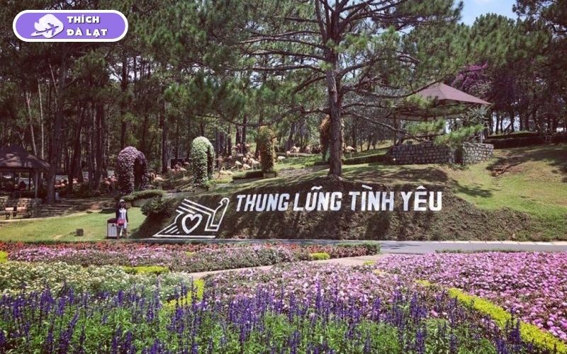 Top 7 vườn hoa Lavender Đà Lạt đáng để lên đồ check-in nhất hiện nay 12 vườn hoa lavender đà lạt