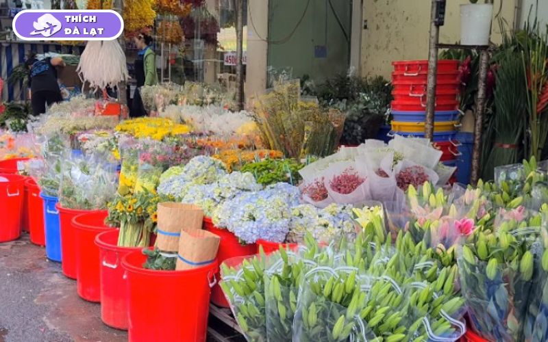 Chợ Chi Lăng Đà Lạt ở đâu? Bán gì và kinh nghiệm mua sắm 11 chợ chi lăng đà lạt