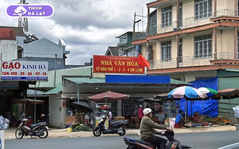 Chợ Chi Lăng Đà Lạt ở đâu? Bán gì và kinh nghiệm mua sắm 14 chợ chi lăng đà lạt