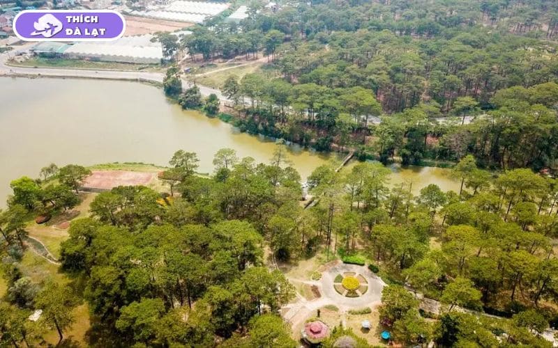 Chợ Chi Lăng Đà Lạt ở đâu? Bán gì và kinh nghiệm mua sắm 15 chợ chi lăng đà lạt