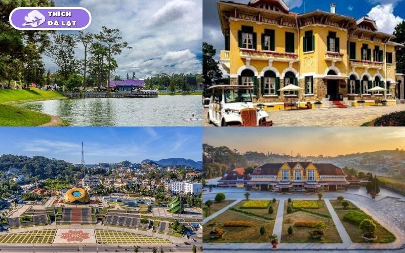 Chợ đêm Đà Lạt ở đâu? Gợi ý đồ ăn ngon và các mặt hàng hấp dẫn 15 chợ đêm đà lạt