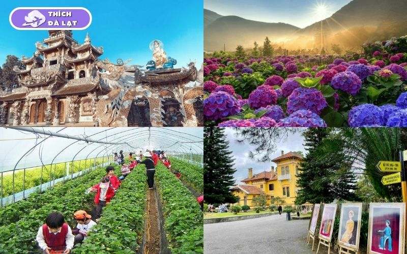 Chợ nông sản Đà Lạt ở đâu? Kinh nghiệm mua sắm chi tiết 15 chợ nông sản đà lạt