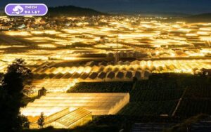 Chợ Thái Phiên Đà Lạt bán gì? Trải nghiệm chợ địa phương thú vị 13 chợ thái phiên