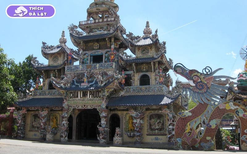 Chợ Trại Mát ở đâu? Khu chợ nông sản nổi tiếng tại Đà Lạt 15 chợ trại mát