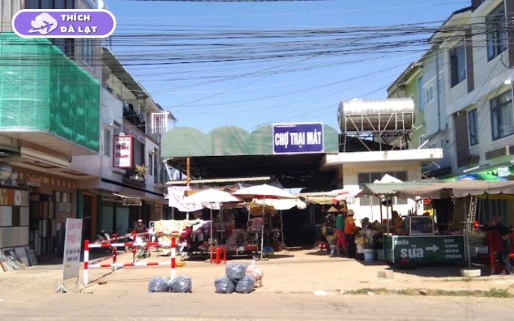 chợ trại mát