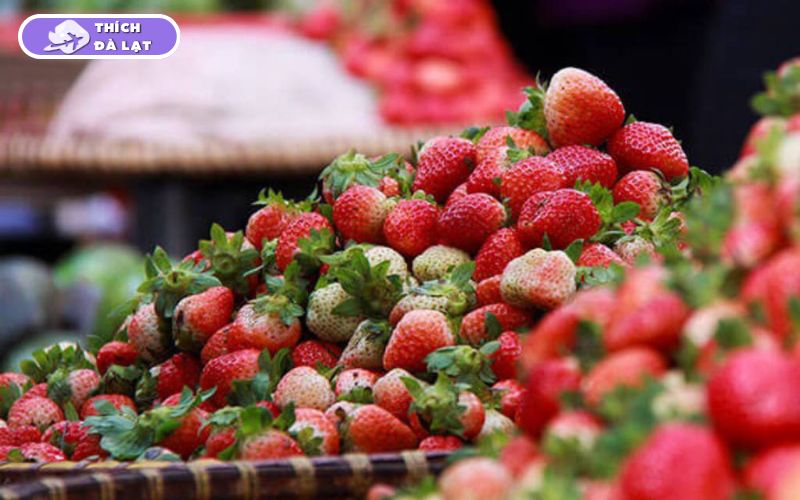 Chợ Yersin Đà Lạt nằm ở đâu? Bán gì? Giá cả như thế nào? 9 chợ yersin đà lạt