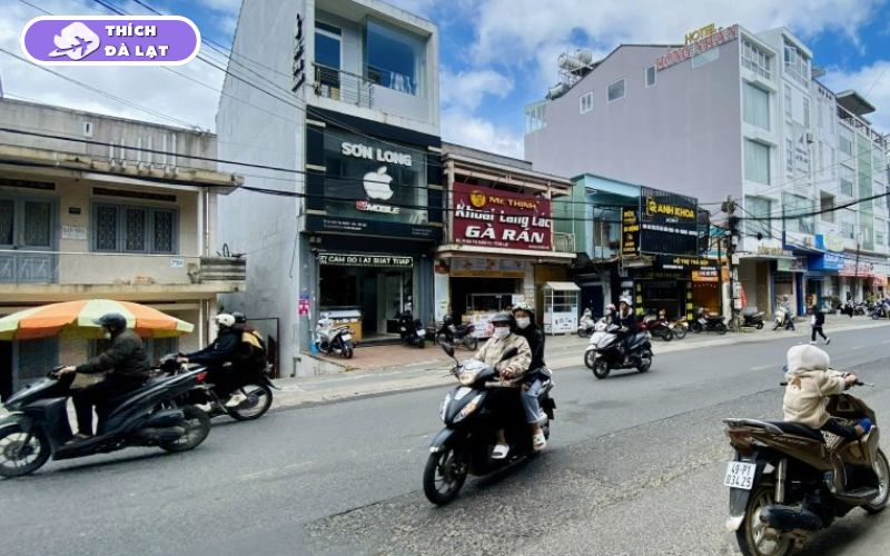 Tiềm năng sinh lời khi đầu tư BĐS đường Bùi Thị Xuân Đà Lạt 8 đường bùi thị xuân đà lạt