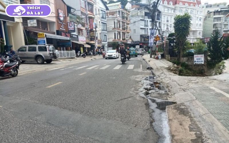 Tiềm năng sinh lời khi đầu tư BĐS đường Bùi Thị Xuân Đà Lạt 9 đường bùi thị xuân đà lạt