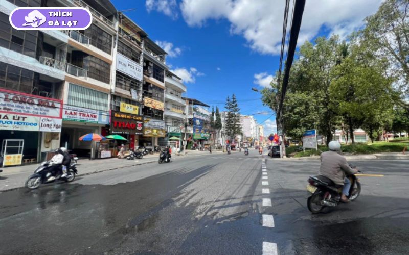 Tiềm năng sinh lời khi đầu tư BĐS đường Bùi Thị Xuân Đà Lạt 11 đường bùi thị xuân đà lạt
