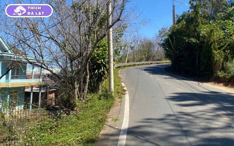 Đường Đống Đa Đà Lạt Cung đường Hàn Quốc đáng đầu tư 2026 8 đường Đống Đa Đà Lạt