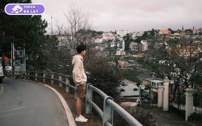 Đường Đống Đa Đà Lạt Cung đường Hàn Quốc đáng đầu tư 2026 9 đường Đống Đa Đà Lạt