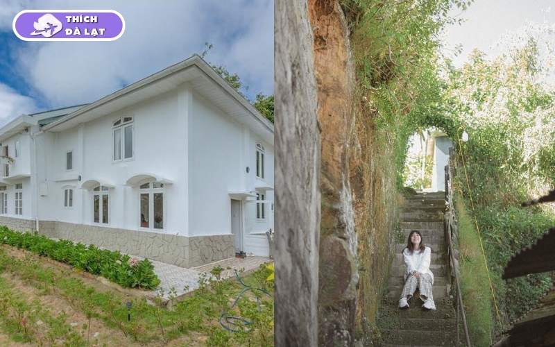 Đường Hàn Thuyên Đà Lạt có gì? Con đường đáng để đầu tư 2026 7 đường hàn thuyên đà lạt