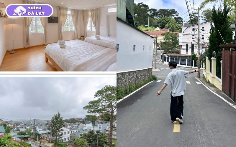 Đường Hàn Thuyên Đà Lạt có gì? Con đường đáng để đầu tư 2026 8 đường hàn thuyên đà lạt