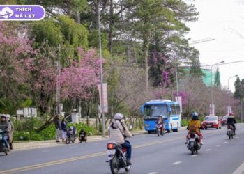 đường hùng vương đà lạt