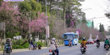 đường hùng vương đà lạt