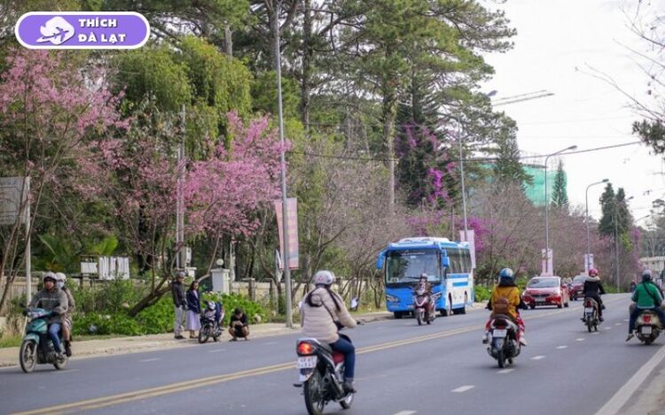 đường hùng vương đà lạt