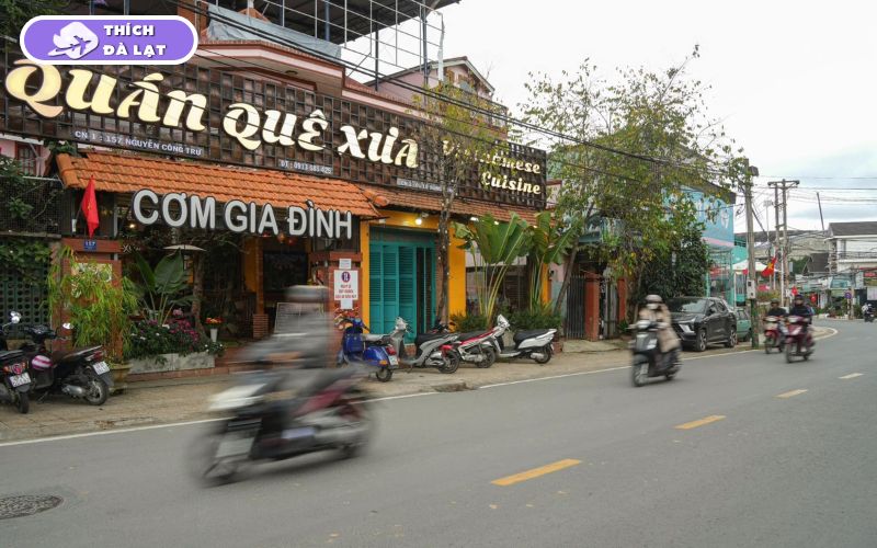 Đường Nguyễn Công Trứ Đà Lạt tuyến đường tiềm năng sinh lời 7 đường nguyễn công trứ đà lạt