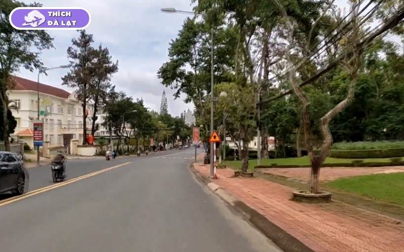 Đường Trần Phú Đà Lạt nên đầu tư gì để sinh lời? 6 đường trần phú đà lạt