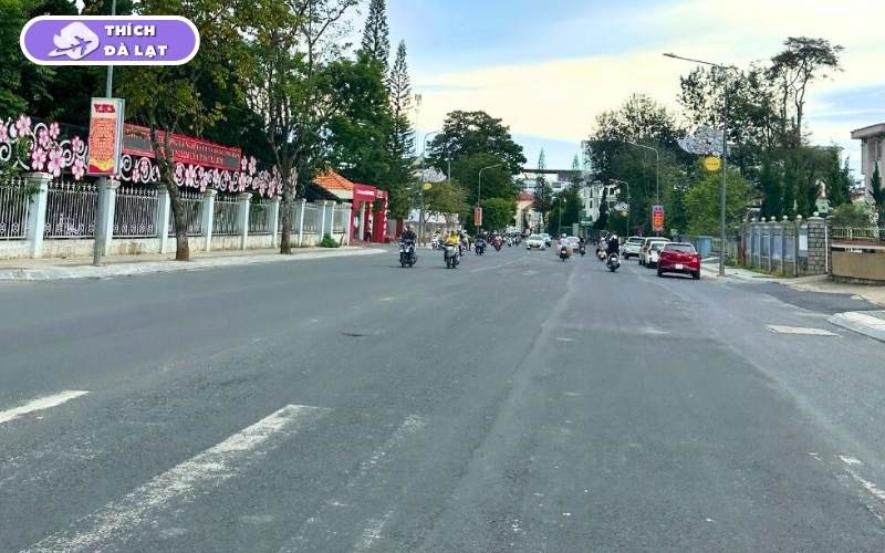 Đường Trần Phú Đà Lạt nên đầu tư gì để sinh lời? 7 đường trần phú đà lạt