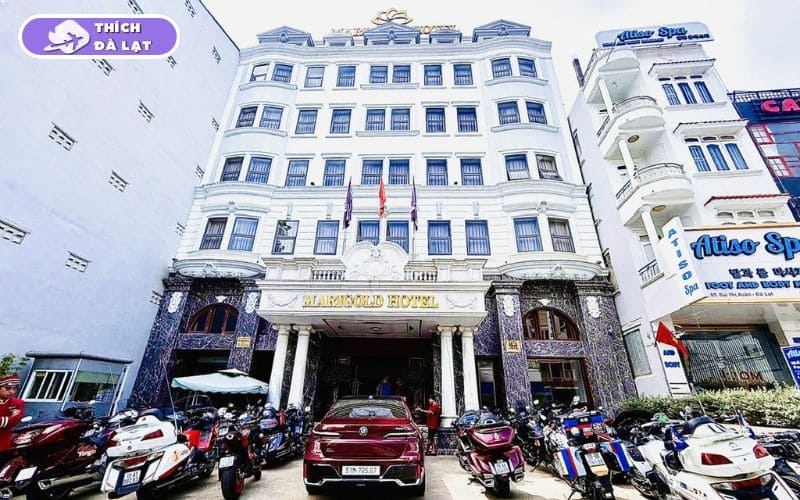 Các khách sạn đường Bùi Thị Xuân Đà Lạt giá rẻ, view đẹp 15 khách sạn đường bùi thị xuân đà lạt