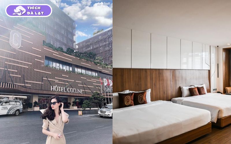 Các khách sạn đường Phan Bội Châu Đà Lạt giá tốt, gần chợ đêm 11 khách sạn đường phan bội châu đà lạt