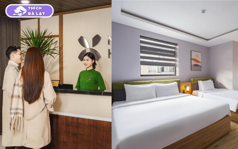 Các khách sạn đường Phan Bội Châu Đà Lạt giá tốt, gần chợ đêm 12 khách sạn đường phan bội châu đà lạt