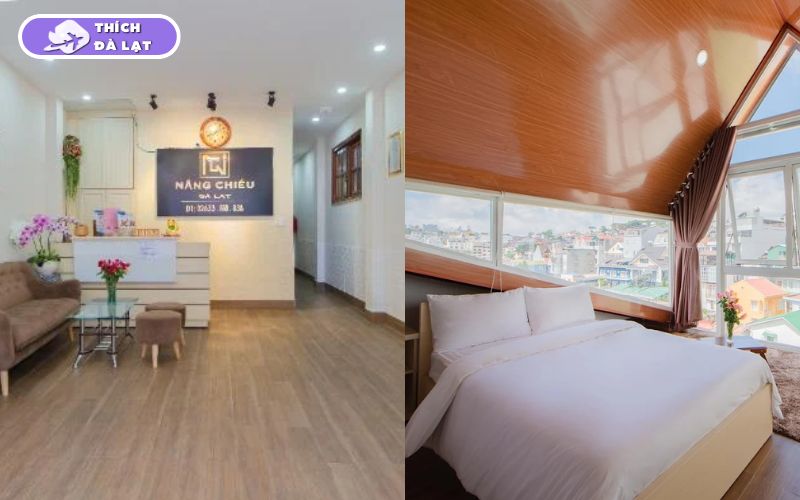 Các khách sạn đường Trần Phú Đà Lạt giá rẻ, gần trung tâm 10 khách sạn đường trần phú đà lạt