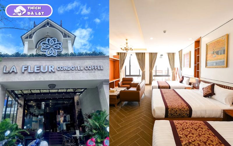 Các khách sạn đường Trần Phú Đà Lạt giá rẻ, gần trung tâm 15 khách sạn đường trần phú đà lạt