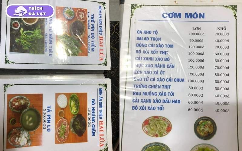 Quán ăn Hai Lúa Đà Lạt chuyên phục vụ đồ nhậu ngon, giá rẻ 7 quán ăn hai lúa đà lạt
