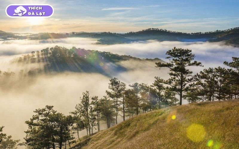 Đà Lạt có biển không? Sự thật khiến nhiều du khách bất ngờ 10 đà lạt có biển không