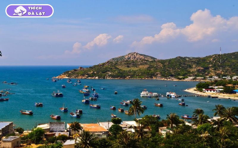 Đà Lạt có biển không? Sự thật khiến nhiều du khách bất ngờ 14 đà lạt có biển không