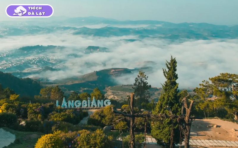 Đi Đà Lạt về chia tay có thật không? Những địa điểm bạn nên tránh 11 đi đà lạt về chia tay