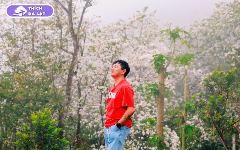 Du lịch Đà Lạt tháng 3 có gì? Nên ăn gì, chơi gì và ở đâu? 24 du lịch đà lạt tháng 3