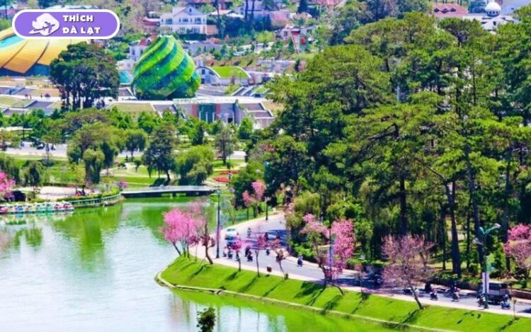 Du lịch Đà Lạt tháng 3 có gì? Nên ăn gì, chơi gì và ở đâu? 13 du lịch đà lạt tháng 3