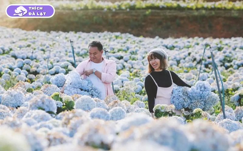 Du lịch Đà Lạt tháng 3 có gì? Nên ăn gì, chơi gì và ở đâu? 22 du lịch đà lạt tháng 3