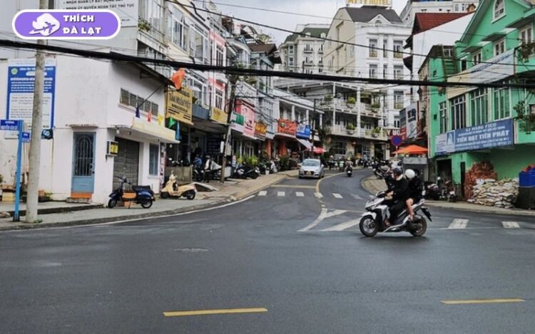 Đường Nguyễn Chí Thanh Đà Lạt cơ hội đầu tư sinh lời cao 6 đường nguyễn chí thanh đà lạt