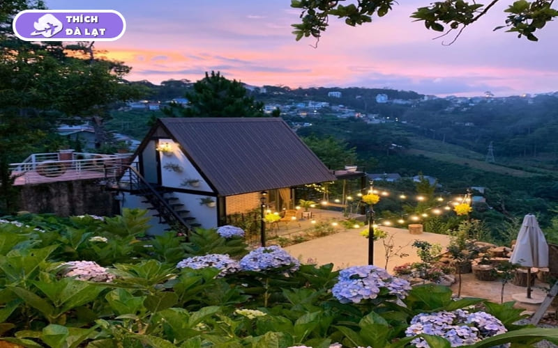 Đường Nguyễn Văn Trỗi Đà Lạt và tiềm năng đầu tư BĐS 2026 8 đường nguyễn văn trỗi đà lạt