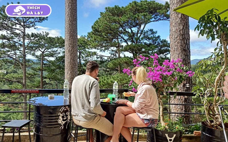 Đường Nguyễn Văn Trỗi Đà Lạt và tiềm năng đầu tư BĐS 2026 9 đường nguyễn văn trỗi đà lạt