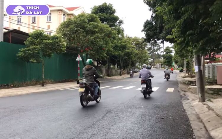 Đường Pasteur Đà Lạt cơ hội đầu tư bất động sản sinh lời cao 6 đường pasteur đà lạt