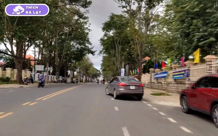 Đường Quang Trung Đà Lạt giá nhà đất và xu hướng phát triển 6 đường quang trung đà lạt