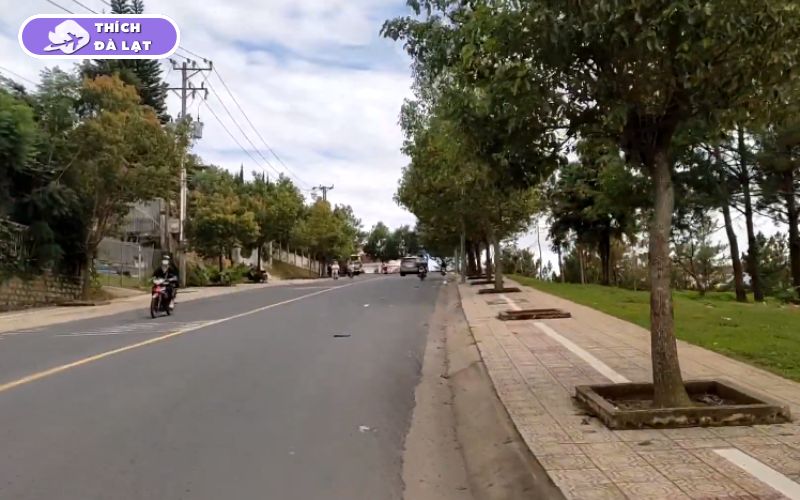 Đường Sương Nguyệt Ánh Đà Lạt tiềm năng sinh lời bất động sản 10 đường sương nguyệt ánh đà lạt