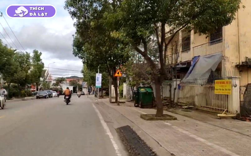 Đường Sương Nguyệt Ánh Đà Lạt tiềm năng sinh lời bất động sản 11 đường sương nguyệt ánh đà lạt
