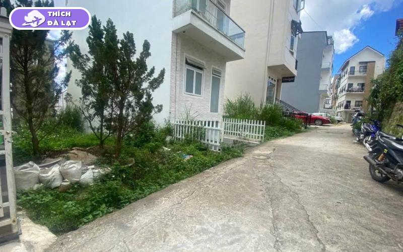 Đường Thông Thiên Học Đà Lạt tiềm năng tăng giá bất động sản 7 đường thông thiên học đà lạt
