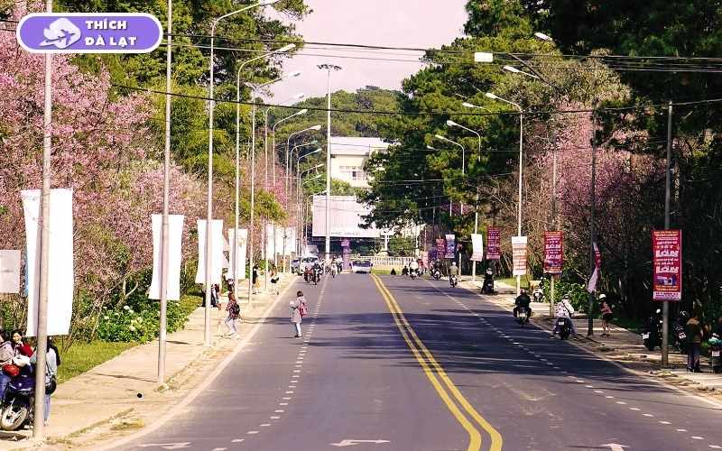 Đường Trần Hưng Đạo Đà Lạt có gì m hút giới đầu tư? 7 đường trần hưng đạo đà lạt