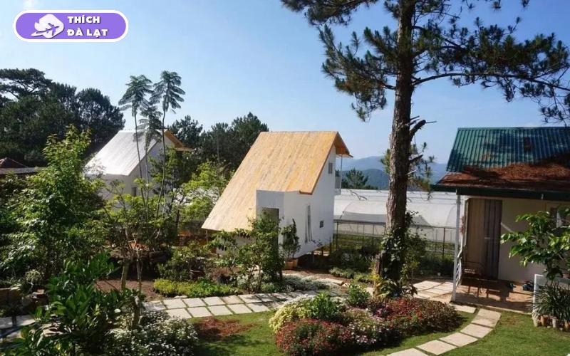 Đường Triệu Việt Vương Đà Lạt định giá thực tế cho nhà đầu tư 7 đường triệu việt vương đà lạt