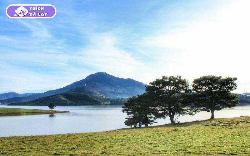 Hồ Suối Vàng Đà Lạt là điểm đến thơ mộng gần Langbiang 9 hồ suối vàng