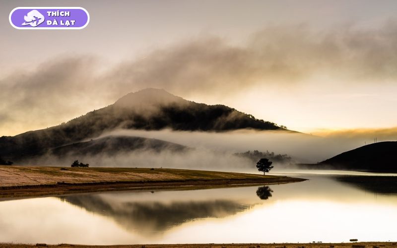 Hồ Suối Vàng Đà Lạt là điểm đến thơ mộng gần Langbiang 11 hồ suối vàng