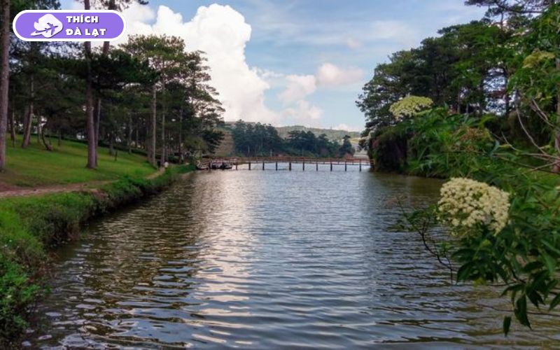 Khám phá Hồ Than Thở Đà Lạt thơ mộng giữa rừng thông 8 hồ than thở