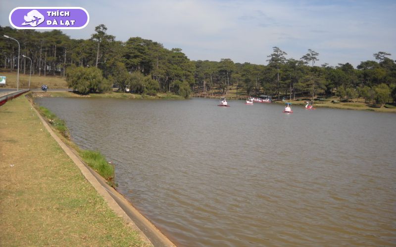 Khám phá Hồ Than Thở Đà Lạt thơ mộng giữa rừng thông 9 hồ than thở